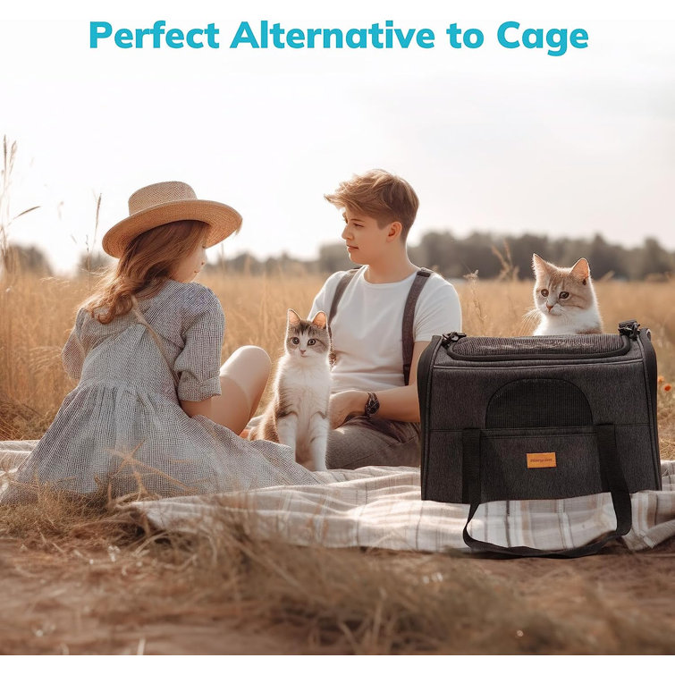 Cat carrier clearance alternative